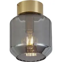 QAZQA Moderne plafondlamp messing met smoke glas - Stiklo