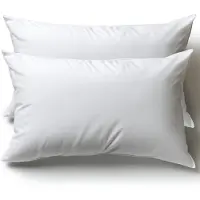 Flowen Kussen 30 x 50 cm, set van 2 sierkussens voor bed en bank, binnenkussen, hypoallergeen, zachte sierkussens met kussensloop, katoen en polyester, afneembaar en wasmachinebestendig