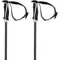 Völkl Phantastick 16 Mm Stokken
