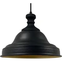 Bamyum Asletl Industriële Hanglamp Metalen Zwart Hanglamp