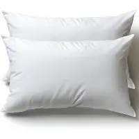 Flowen Kussen voor bed 40 x 60 cm, hoofdkussen, set van 2 binnenkussens, hypoallergeen, anti-mijt, zachte kussenvulling met kussensloop, katoen en polyester, afneembaar en wasbaar slaapkussen voor thuis /