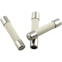Eska 528.22 52822 Buiszekering (Ø x l) 5 mm x 25 mm 3.15 A 250 V Normaal -mT- Inhoud 10 stuk(s)