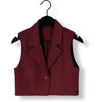 Like Flo Meisjes Blazers Demi Flo Gilet - Bordeaux - Maat 122/128