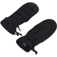 Oakley Apparel B1b Winter Handschoenen