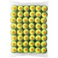 Wilson Starter Stage 2 Oranje 48 St.