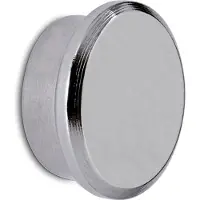 MAUL Neodymium Magneten Zilver 8 kg draagkracht 22 mm
