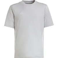Adidas Tabela 23 Voetbalshirt Kids Grijs Wit