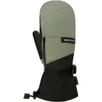 Dakine - Skihandschoenen - Leather Titan Gore-Tex Mitt Mulled Basil voor Heren - Maat S - Kaki