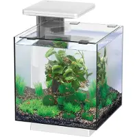 Superfish Qubiq 15 led wit