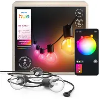 Philips Hue Festavia Globe Guirlande Lumineuse - 7 mètres - 10 Ampoules - Extension