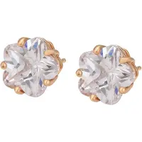 Gaya Oorbellen rose-goud
