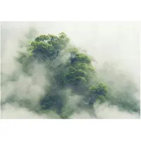 WALLARENA - Fotobehang - 400x280 cm - regenwoud fotobehang met bomen in de mist voor de woonkamer en slaapkamer