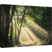WALLARENA - Canvas schilderij - 40x30 cm - afbeelding van een bos met bomen voor slaapkamer, woonkamer en keuken