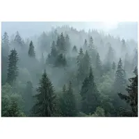 WALLARENA - Fotobehang - 300x210 cm - 3D natuur met bomen in de mist voor slaapkamer en woonkamer