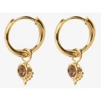 Sissy-Boy Gold Plated Oorbellen Met Bruine Steen