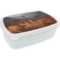 MuchoWow Broodtrommel Wit - Lunchbox Giraffen - Hoog gras - Acaciabomen - Brooddoos 18x12x6 cm - Brood lunch box - Broodtrommels voor kinderen en volwassenen