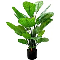 PrettyPlants Calathea Kunstplant 80cm