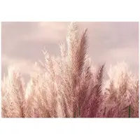 WALLARENA - Fotobehang - 300x210 cm - 3D natuur met rose tarwe voor slaapkamer en salon