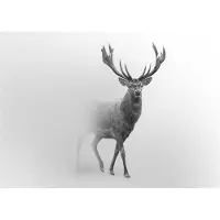 WALLARENA - Fotobehang - 200x140 cm - Herten in mist voor slaapkamer en woonkamer, wanddecoratie