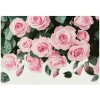 WALLARENA - Fotobehang - 400x280 cm - Roze hangende rozen bloemen voor slaapkamer en woonkamer