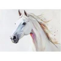 WALLARENA - Fotobehang - 200x140 cm - fotobehang voor kinderen met een paard en dieren voor de kinderkamer