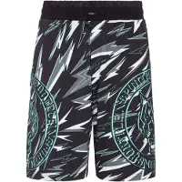 Plein sport Broek 'Tiger' grijs / donkergrijs / zwart