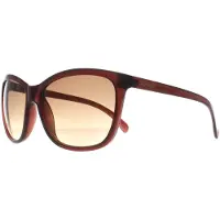 Calvin Klein Cat Eye Dames Melkbruin Bruin Verloop CK19565S
