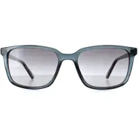 Ted Baker TB1529 Farley 625 duif blauw grijs gradiënt zonnebril