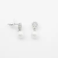 U.s. polo assn. US Polo Assn Jewellery Soleil Rhodium Oorbellen