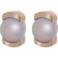 Orphelia 'Hedda' Dames 925 Sterling Zilveren Oorbellen - Rosé ZO-7229