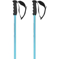 Head Worldcup Sl Stokken Blauw 120 cm