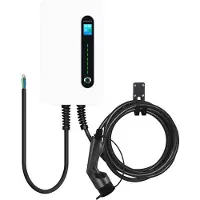 Besen F30 Wandlader voor Elektrische Auto’s – Zwart