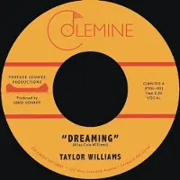 Konkurrent Taylor Williams - Dreaming (7" Single)