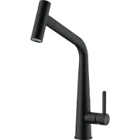 Franke Icon - Keukenkraan FG 5188.901 met uittrekbare sproeikop, mat zwart 115.0625.190