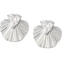 Gaya Oorbellen zilver / transparant