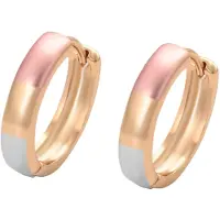 NAEMI Oorbellen goud / rose-goud / zilver