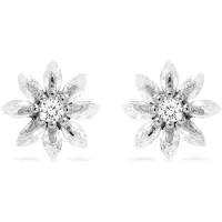 Luxenter Oorbellen 'Aul' zilver
