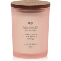 Chesapeake Bay Candle – Stilte en zuiverheid – Medium 250 g