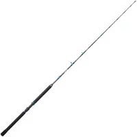 Sunset Kaijin Sw Acid Trolling Rod Zilver 1.98 m / 8 Lbs