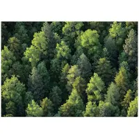 WALLARENA - Fotobehang - 200x140 cm - Fototapete van een bos met bomen, natuur voor slaapkamer en salon, vliesbehang