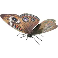 Metal Earth Papillon Ocelle