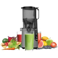 Friac SJ1025 Slowjuicer 250 W