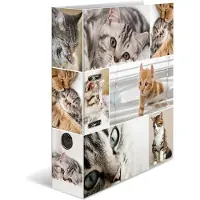 Herma Ordner A4 Katzen