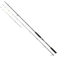 Daiwa Powermesh Qb Bottom Shipping Rod Zilver 3.40 m / 20-120 g