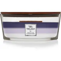Woodwick trilogy evening luxe ellipse candle |