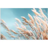PosterMonkey Poster 30x20 cm - Siergras - Wind - Lichtbruin - Posters - Kamer decoratie - Wanddecoratie woonkamer - Muurdecoratie slaapkamer