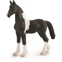 Collecta Figurine - Barock Pinto Veulen - 1:20 - Paarden - Handgeschilderd - Miniatuur