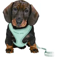 Trixie Junior Welpengeschirr met Leine 26-34 cm/10 mm, 2 m, mint