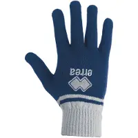 Errea Handschoenen blauw / grijs