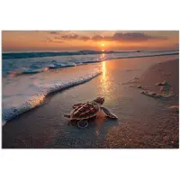 PosterMonkey Poster 90x60 cm - Schildpad - strand - Zonsondergang - Posters - Kamer decoratie - Wanddecoratie woonkamer - Muurdecoratie slaapkamer